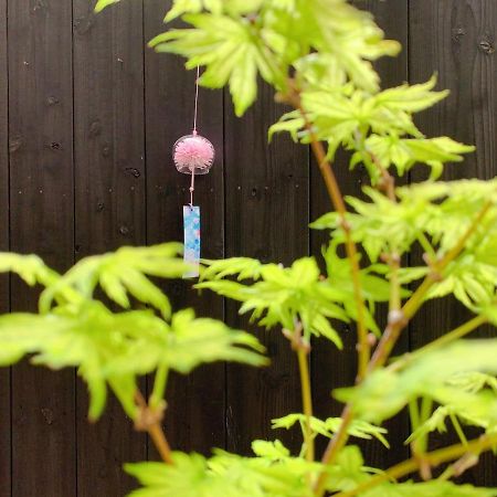 桃夭庵 Touyouan Momo House Kujo 一棟貸切 Kyoto Exterior photo